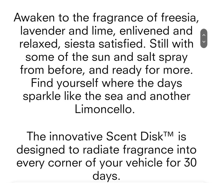 Glasshouse Fragrance fragrance Glasshouse Car Diffuser