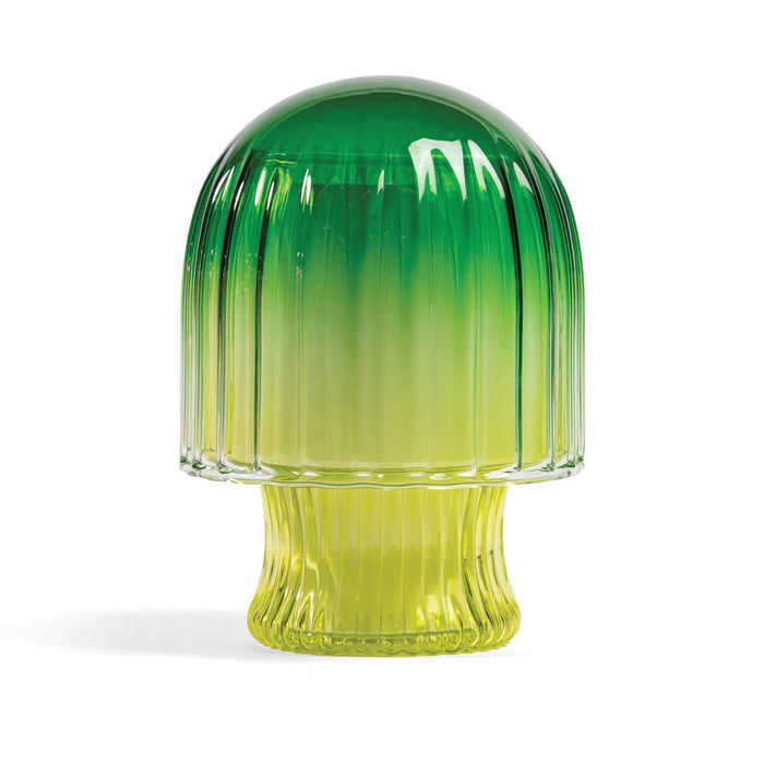 Hallo Iceland Moss Mushroom Cloche Candle