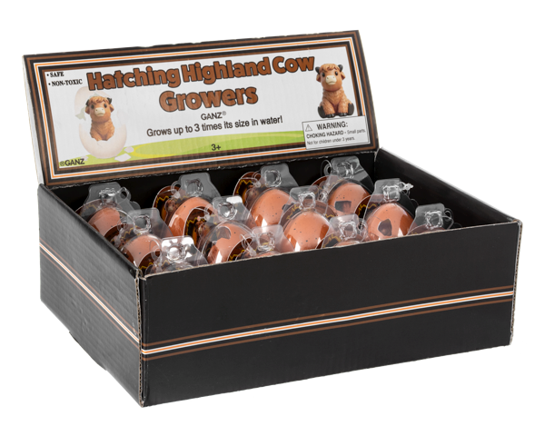 Hatching Highland Cow Growers