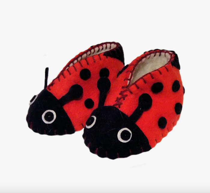Ladybug