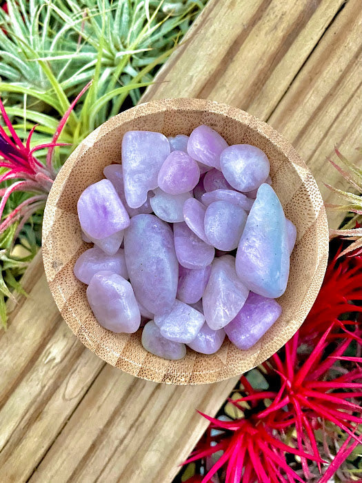 Kunzite Crystal Chips 1/4 cup (3oz)