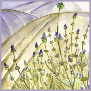 La Florentina Bellosguardo Lavender Shower Gel 750 ml - EMPORIO ITALIANO