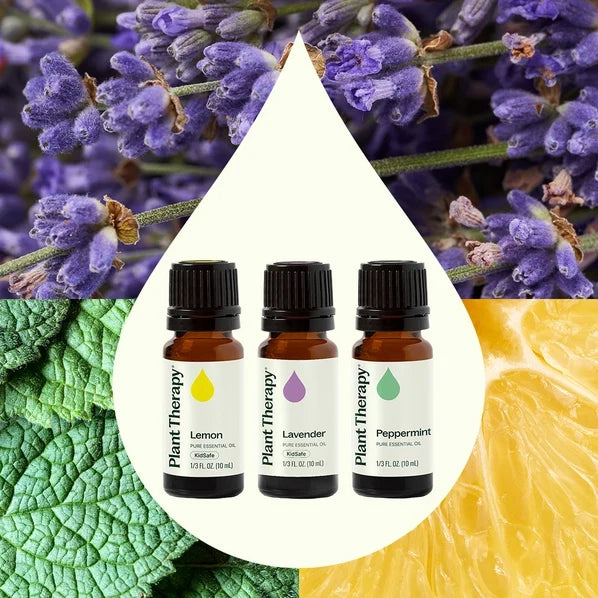 Lemon Lavender and Peppermint Essential Oil (Set of 3) 10mL