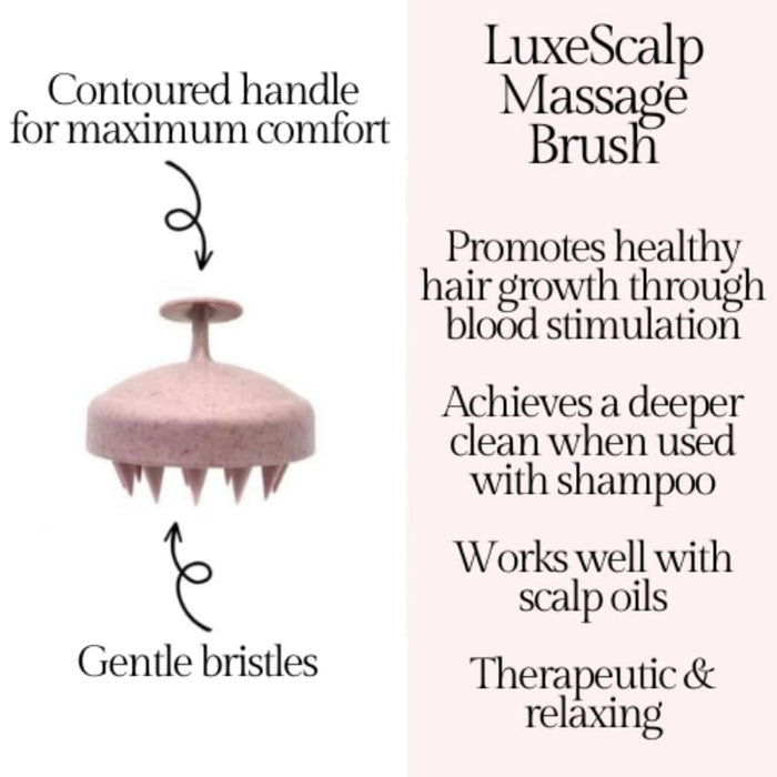 Scalp Massage Brush