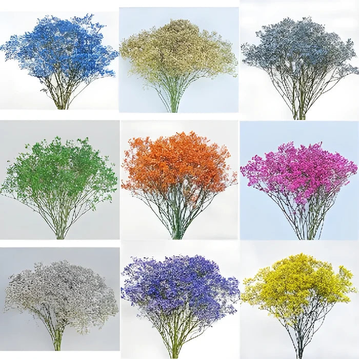 Mixed Color Airbrushed Baby's Breath Flower