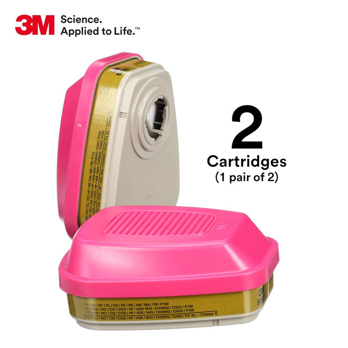 Multi Gas/Vapor Cartridge & P100 Filter Set