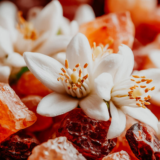 Neroli Olibanum | Fragrance Oil