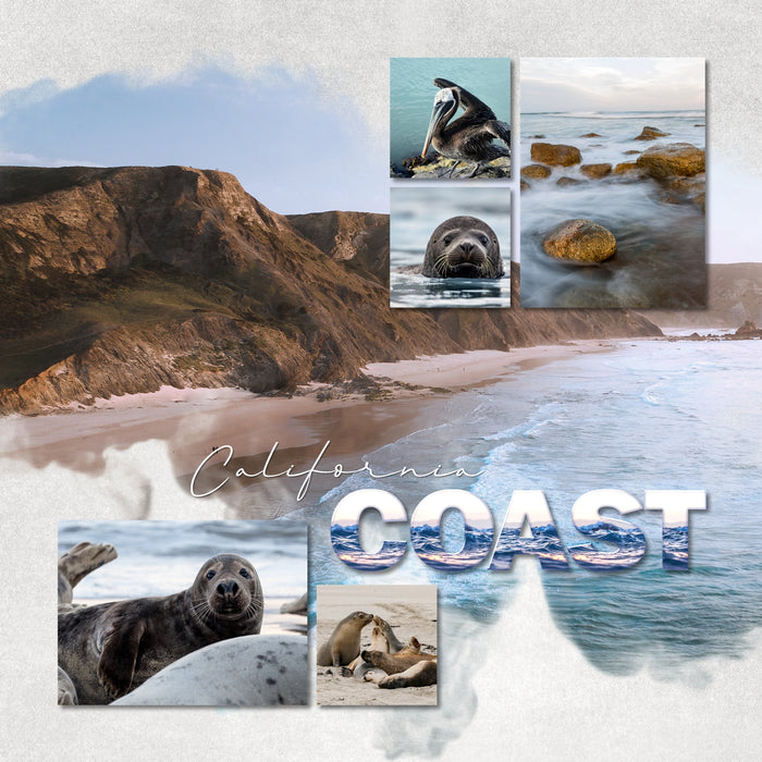 Accent your beach, ocean, and sea pages with these fun digital art alpha embellishments by Lucky Girl Creative. Great for the West Coast of the Pacific Ocean, California vacations, Oregon, and Washington plus holidays to the Atlantic Ocean coast line and Europe, too.