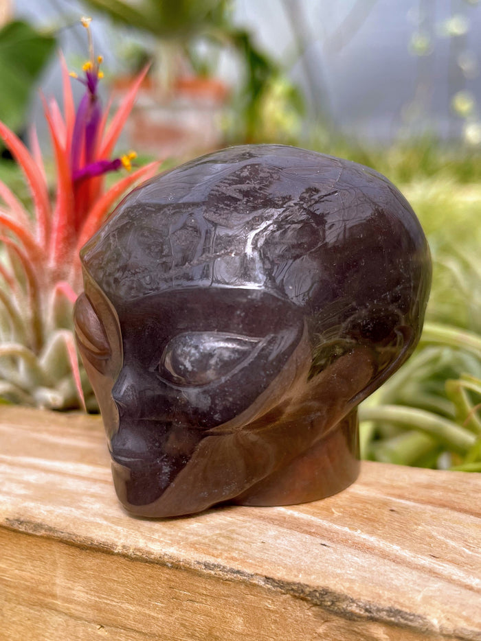 Ocean Jasper Alien Skull Carving