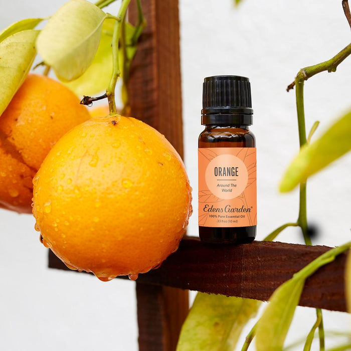 Lifestyle image of Orange Around The World Essential Oil