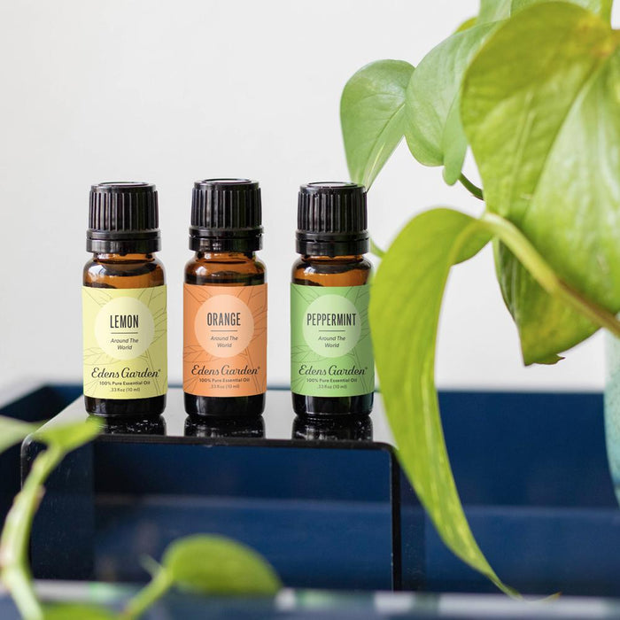 Lifestyle image of Orange Around The World Essential Oil