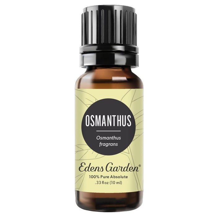 Osmanthus Absolute