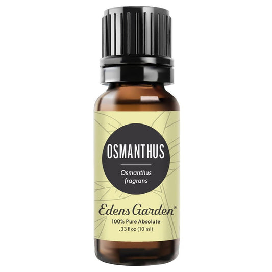 Osmanthus Absolute
