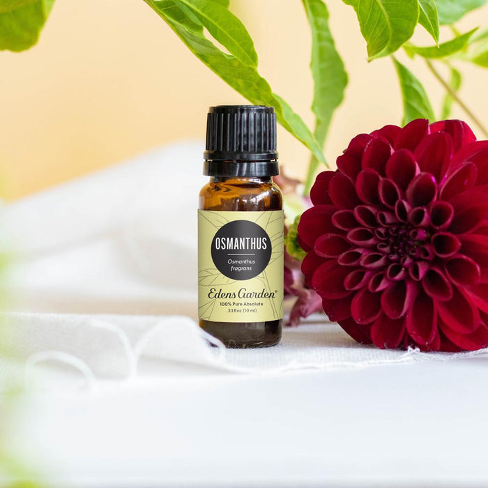 Osmanthus Absolute