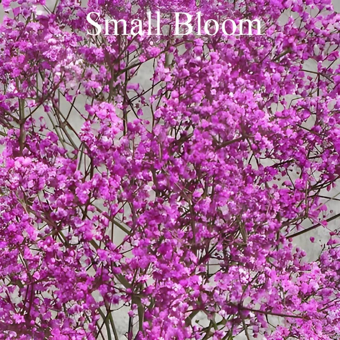 Pink Airbrushed Baby's Breath Flower