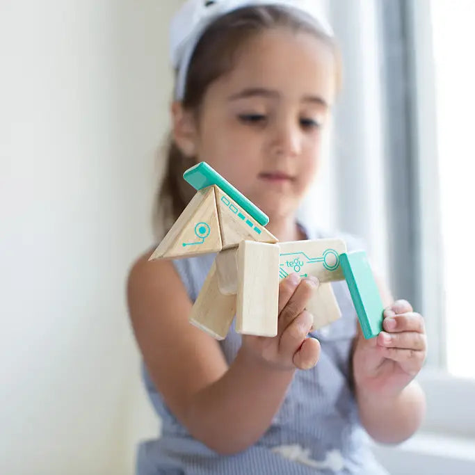 Robo - Magnetic Wooden Block Set