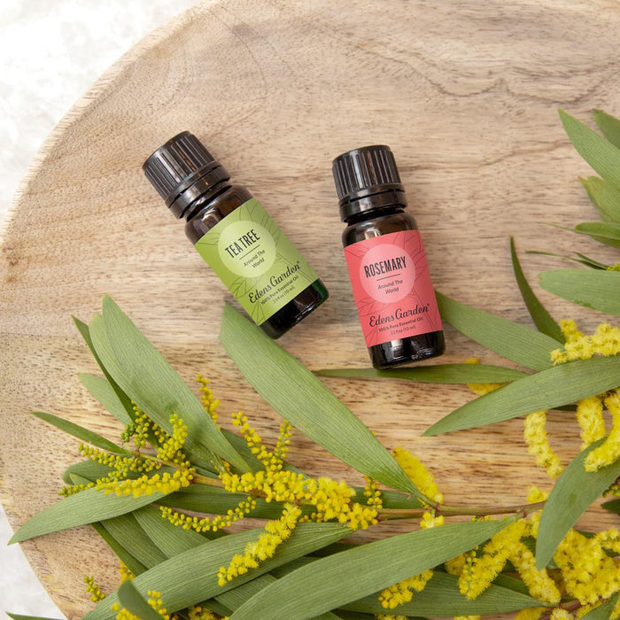 Lifestyle image of Rosemary Around The World Essential Oil