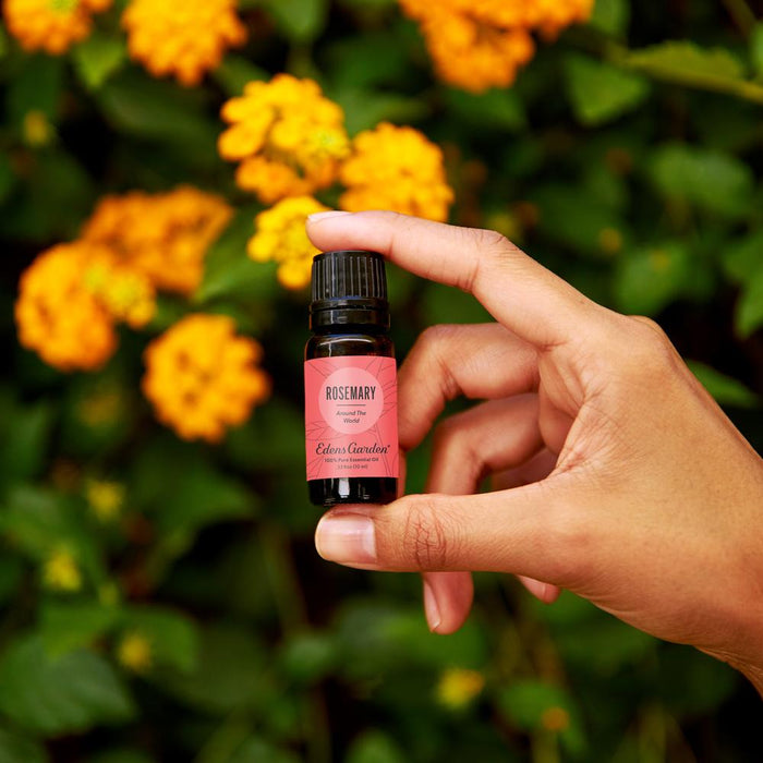 Lifestyle image of Rosemary Around The World Essential Oil