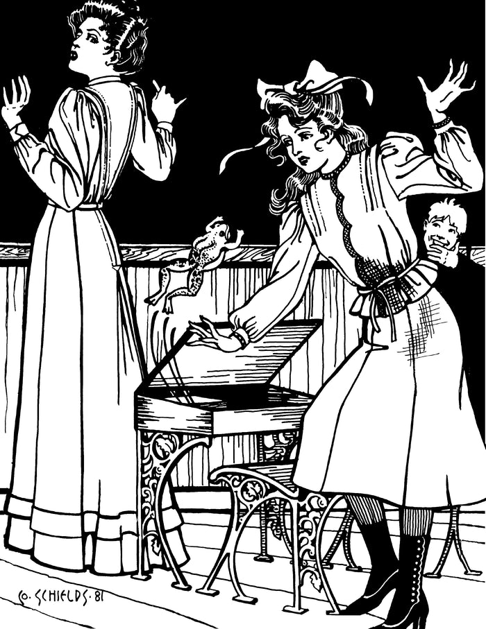 216 Schoolmistress' Shirtwaist & Skirt - small torn tissue