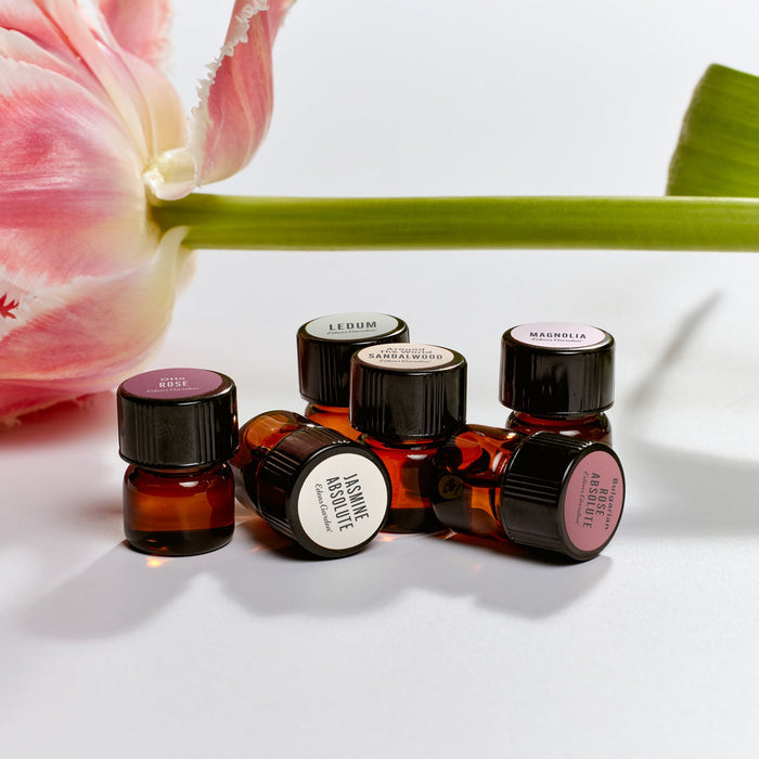 Lifestyle image of Sample of Sandalwood Around The World Essential Oil