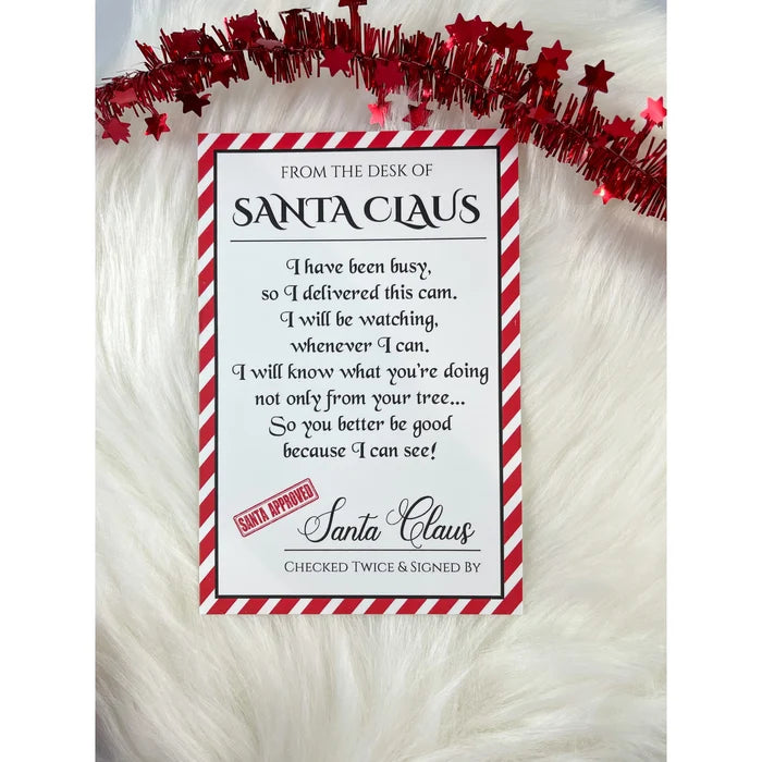 Santa Cam (7114278502447)