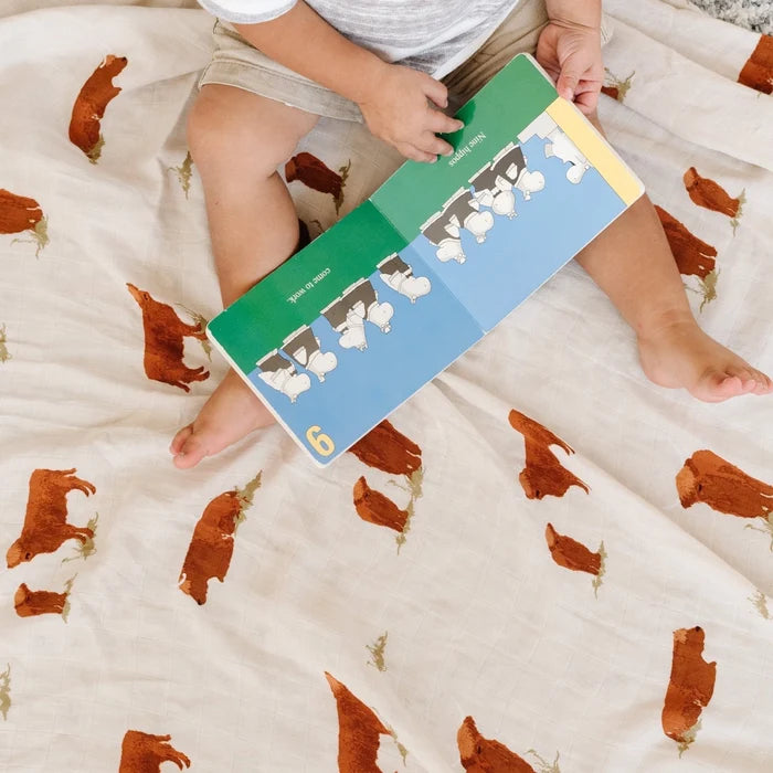 Saranoni Bamboo Rayon Muslin Swaddles (9170488328500)