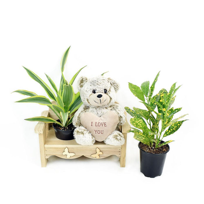 Seasonal Potted Plants in Planter Chair – the plant