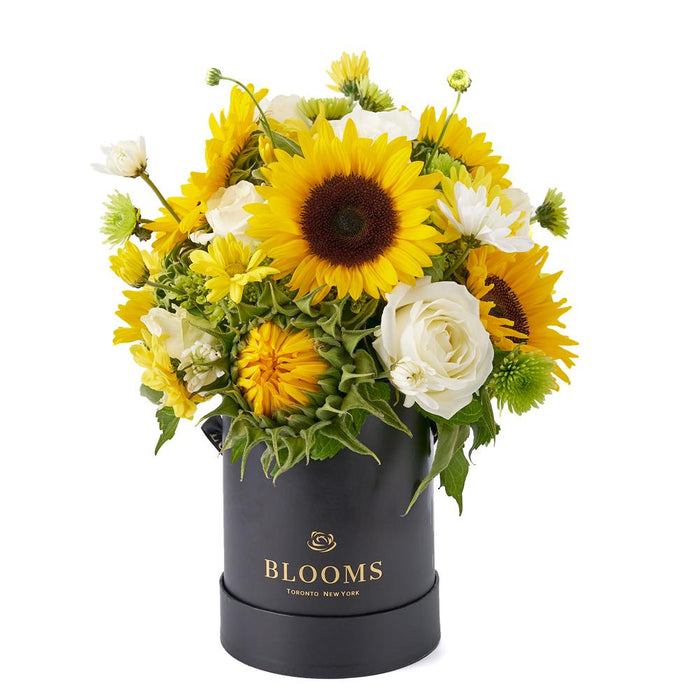 Seasonal Sunflower and Mixed Flower Designer Box – gift basket with arranged in a designer box and this arrangement features sunflowers