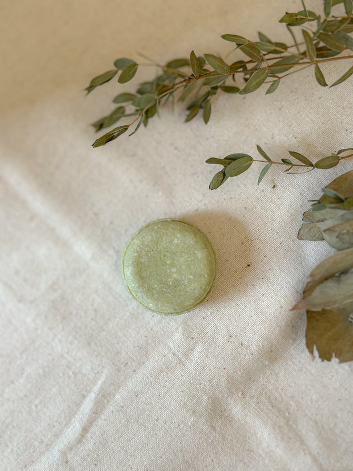 Shampoo Bar