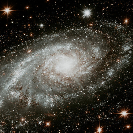 Silver Supernova | Fragrance Oil