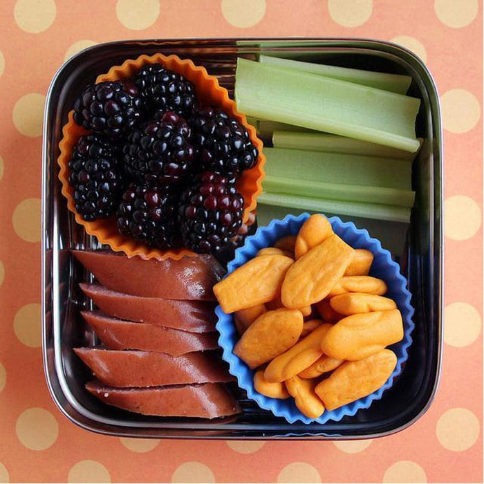 Stainless Steel Solo Cube Food Container