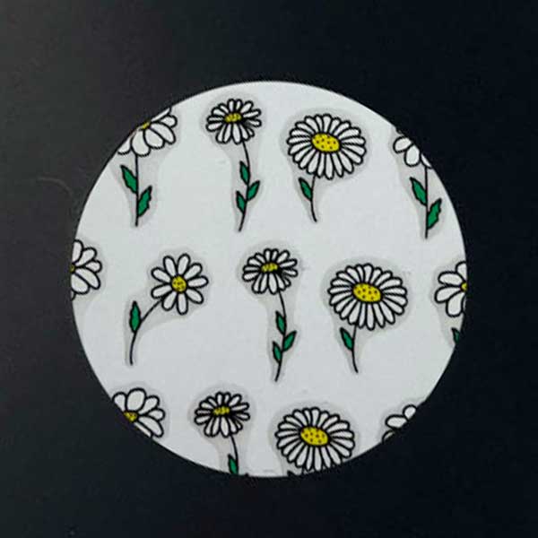 Stemmed Daisies Nail Art Decals