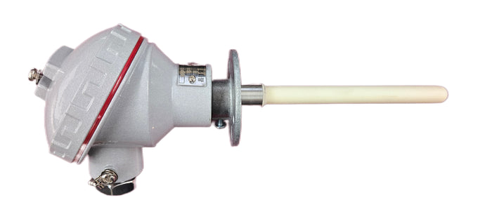 T/C ASSEMBLY TYPE S .15mm x 5"