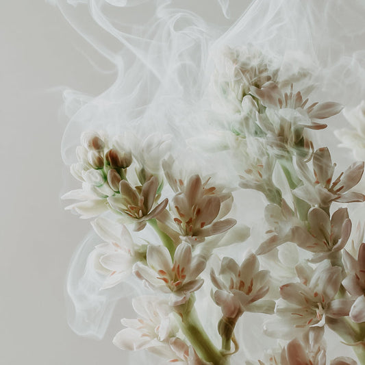 Tuberose Musk | Fragrance Oil