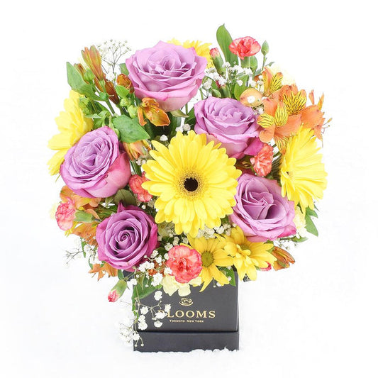 Vibrant Mixed Floral Arrangement with Daisies, Roses & Gerbera – gift basket with this arrangement features an assortment of multi-hued blooms