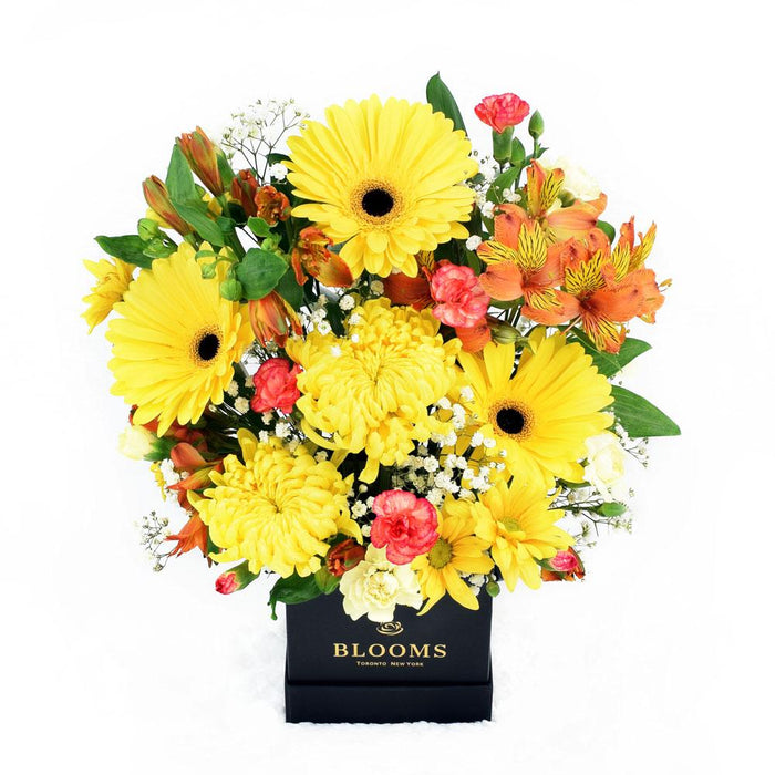 Vibrant Yellow Mixed Floral Arrangement in Black Hat Box – gift basket with flowers in shades of yellow including, gerbera and alstroemeria