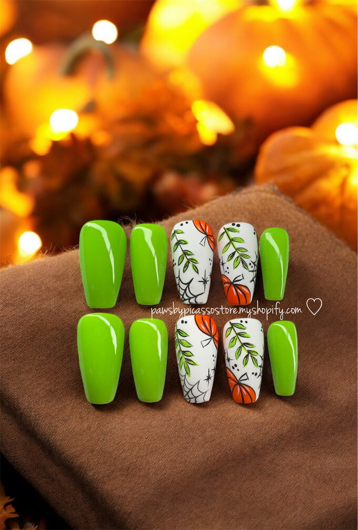 Webbed Pumpkin Patch - Paws By Picasso Webbed Pumpkin Patch
