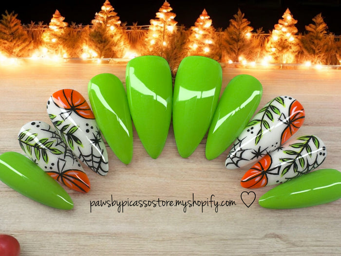 Webbed Pumpkin Patch - Paws By Picasso Webbed Pumpkin Patch