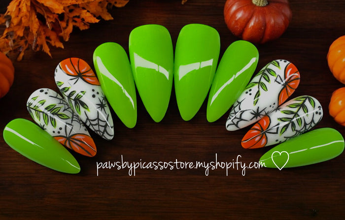 Webbed Pumpkin Patch - Paws By Picasso Webbed Pumpkin Patch