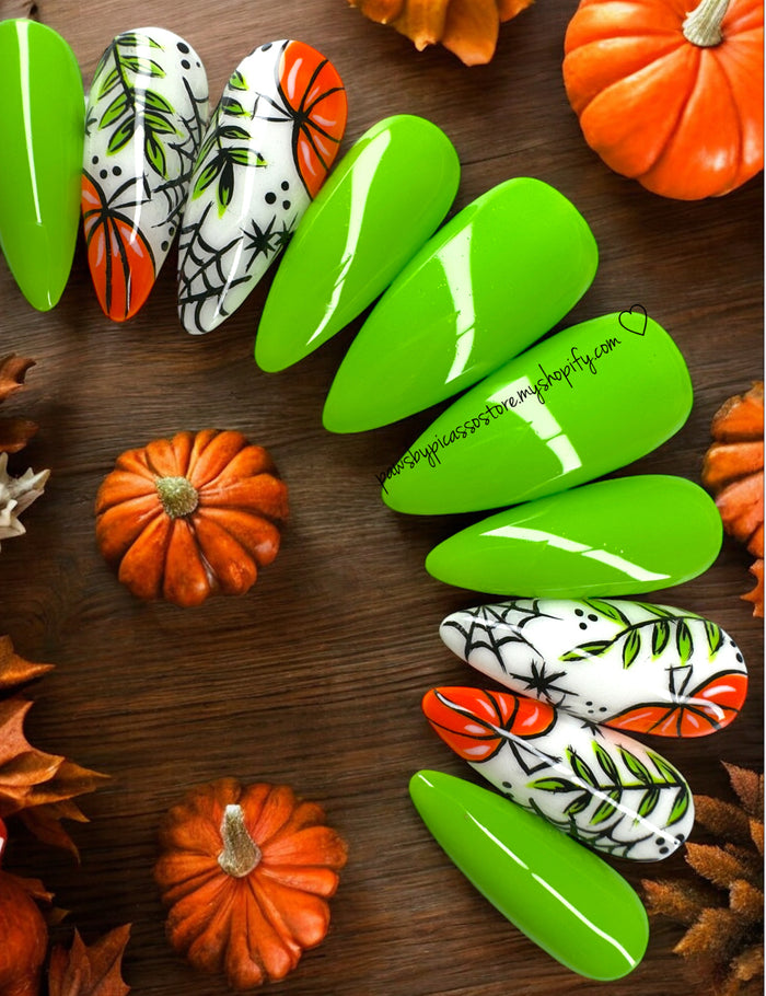 Webbed Pumpkin Patch - Paws By Picasso Webbed Pumpkin Patch