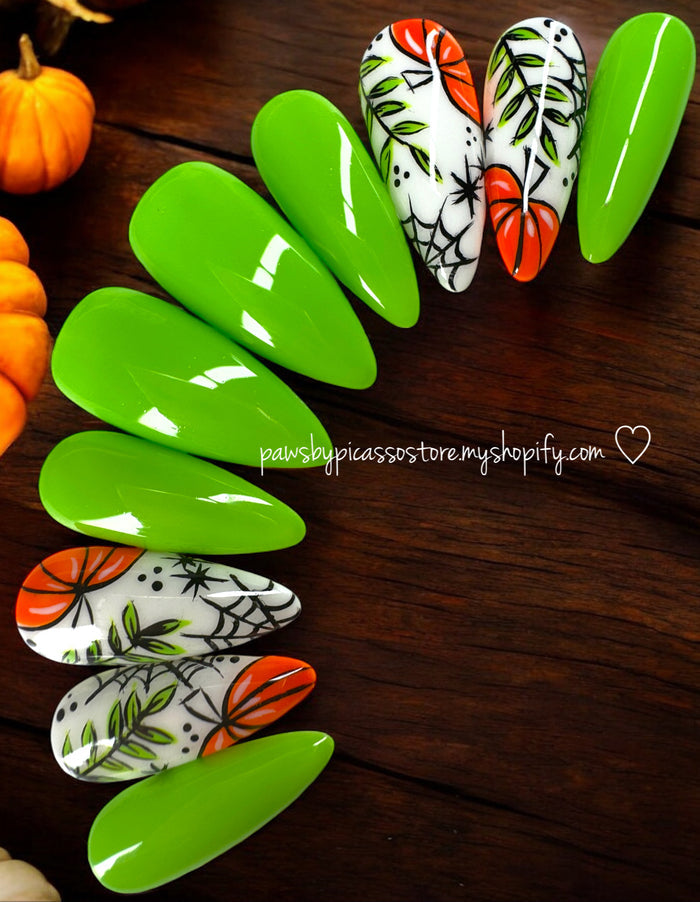 Webbed Pumpkin Patch - Paws By Picasso Webbed Pumpkin Patch