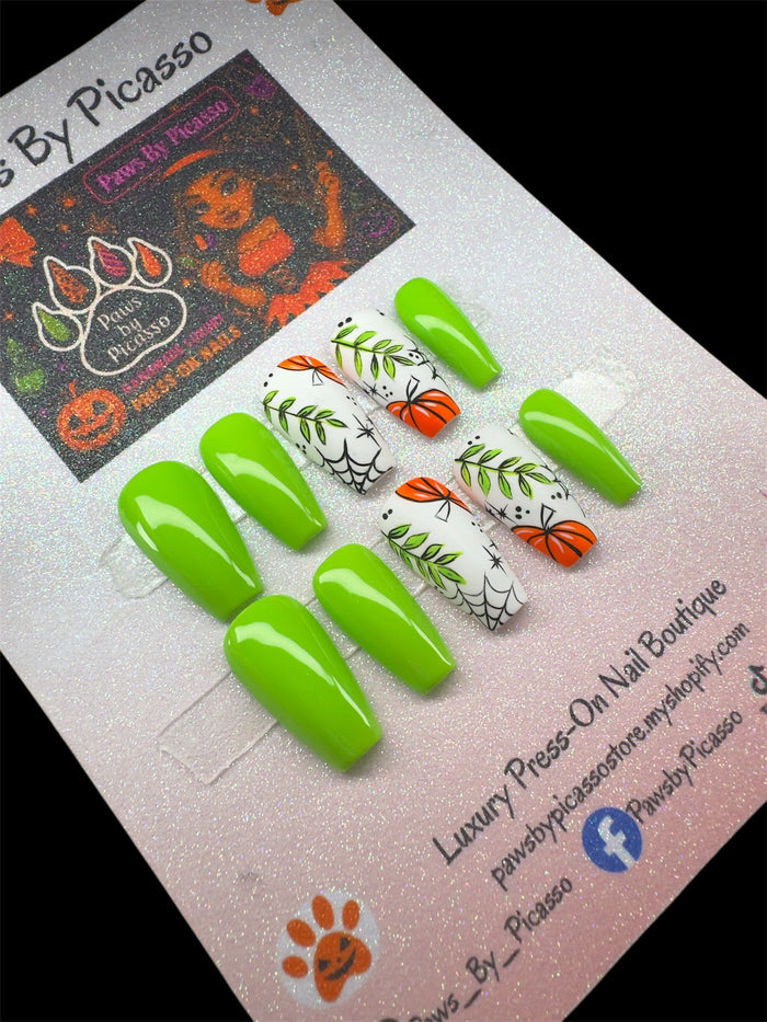 Webbed Pumpkin Patch - Paws By Picasso Webbed Pumpkin Patch