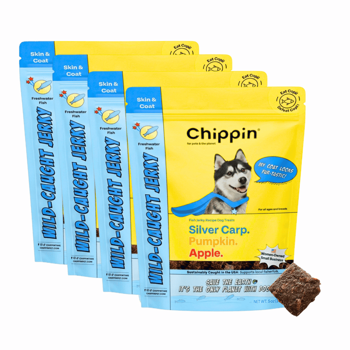Chippin 4 Pack Wild-Caught Fish Jerky, 4-Pack