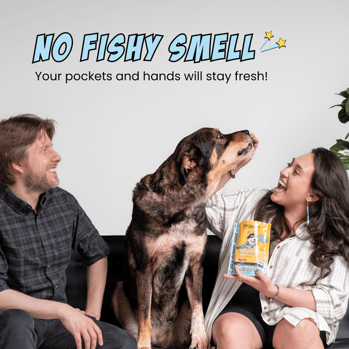 Chippin 4 Pack Wild-Caught Fish Jerky, 4-Pack