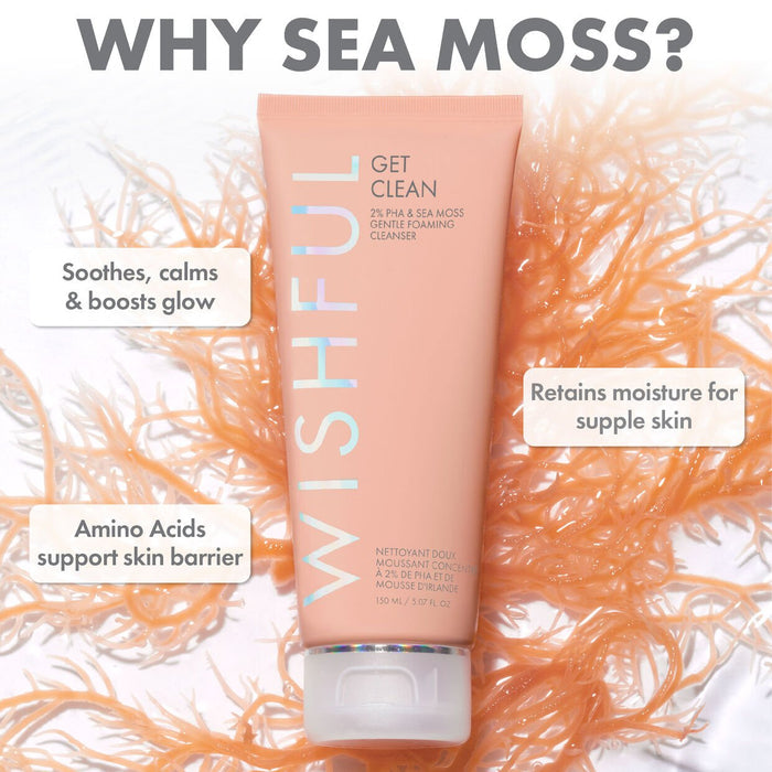 Wishful Get Clean 2% PHA & Sea Moss Gentle Foaming Cleanser 50 ML