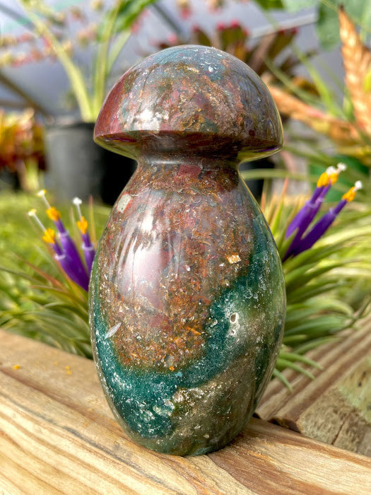 WYSIWYG- Ocean Jasper Mushroom