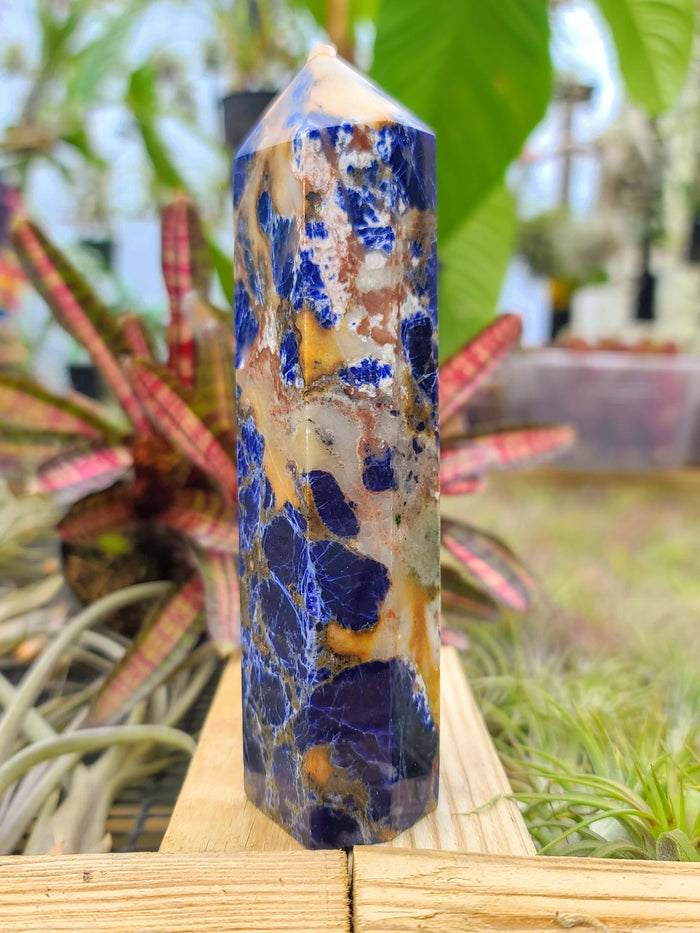 WYSIWYG- Sodalite Tower